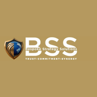 Bespoke Strategy Solutions(@BSSolutionFZCO) 's Twitter Profile Photo
