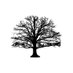 smallvalue. (@dipinvest) Twitter profile photo smallvalue. (@dipinvest) Twitter profile photo