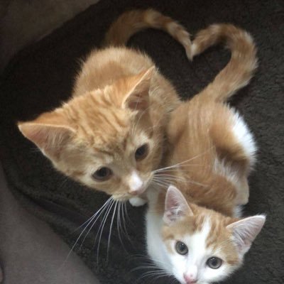 user70124122312's profile picture. 