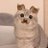 Haruuux__'s profile image