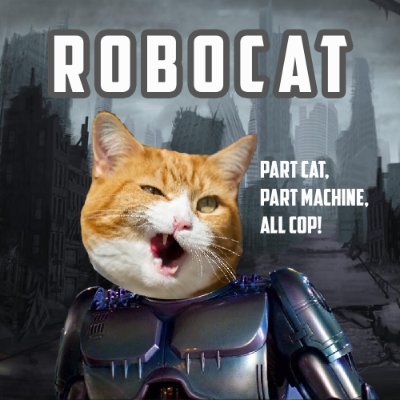 RoboCat isn't just your average crypto; it's the mischievous kitty of the digital currency world, always landing on its feet even in the most volatile markets.