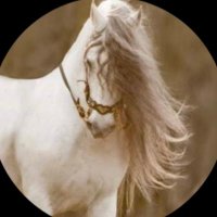 ال مهره (@noor_3001) 's Twitter Profile Photo ال مهره (@noor_3001) 's Twitter Profile Photo