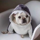 JasmineJen76358's profile picture. I think I can win！ LAK5EZST