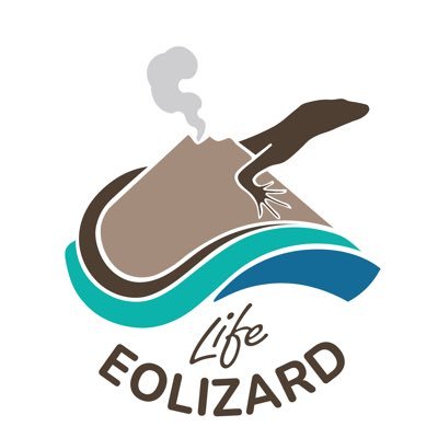 🦎 Progetto di conservazione della lucertola delle Eolie 🇪🇺 Co-finanziato da LIFE Programme