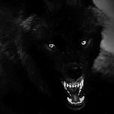 RichK4eva's profile picture. 