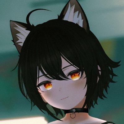 VRChat catographer and world creator.