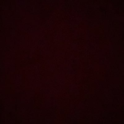 baebymeowww's profile picture. 