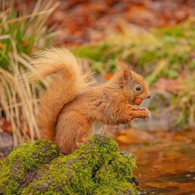 TTV_rxpct's profile picture. Gracjan was here