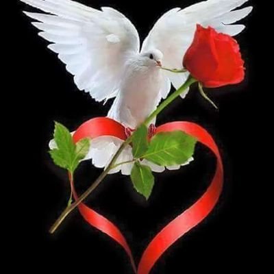 CMobile37970's profile picture. 