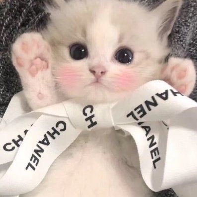 TerriRamir40232's profile picture. Nothing can make me happy 52GPUJF5