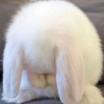 RamaRegina91580's profile picture. Being happy is the motivation to live on 6WVS2GUZ