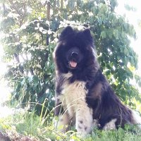 luisa invernizzi (@luisainvernizz4) 's Twitter Profile Photo luisa invernizzi (@luisainvernizz4) 's Twitter Profile Photo