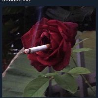 theoneeyedchild (@oneeyechild) 's Twitter Profile