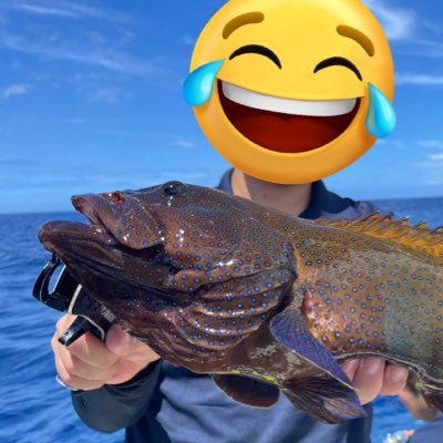 魚を中心とした水生生物が好きです。最近は特に南方の汽水魚が好き。魚以外だとvtuber(特にぶいすぽっ!)にハマってます。 社会と格闘中