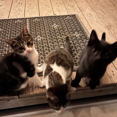 1012kenchan's profile picture. 