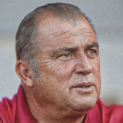 Sadece Fatih Terim / Parody account