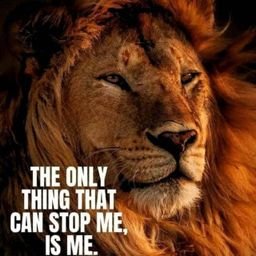 ShaibuJawad's profile picture. 