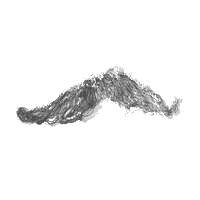Nietzsche POParts (@n_poparts) 's Twitter Profile Photo Nietzsche POParts (@n_poparts) 's Twitter Profile Photo