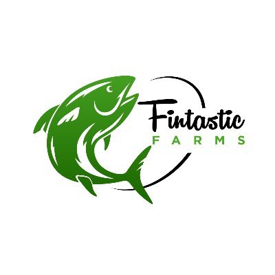 Fintastic Farms, an initiative by Black Business Diary, aims to revolutionize the catfish farming industry by introducing innovative products.