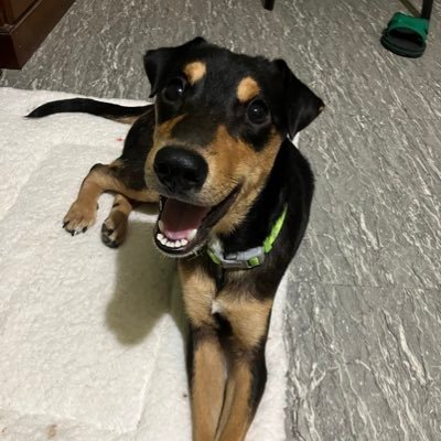 JVCCua's profile picture. immortal 'til proven otherwise.