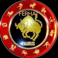 TAURUS Ferhat Fr Kr (@frkrfrkr) Twitter profile photo