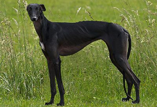 Tonny21ar's profile picture. 