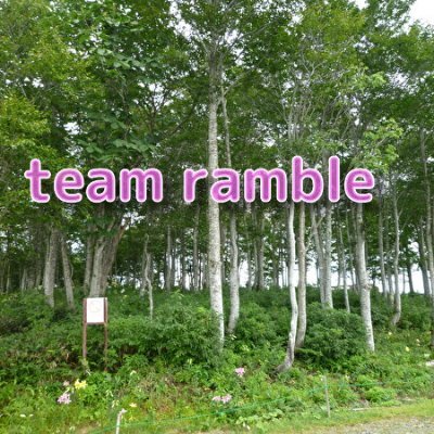 APEX クラン　team_ramble