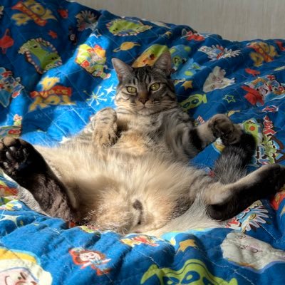 OuOsa_cyo's profile picture. 