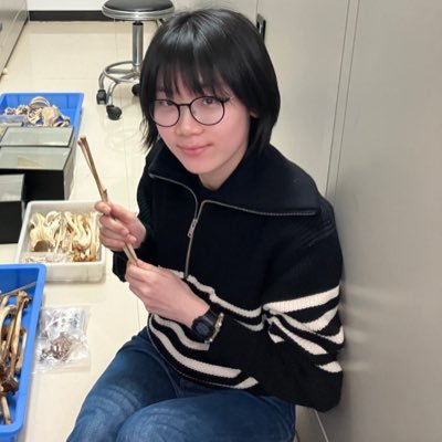 MSc Archaeological Science Archaeozoology, Leiden University 张雯裕 looking for a PhD 🤜🤛