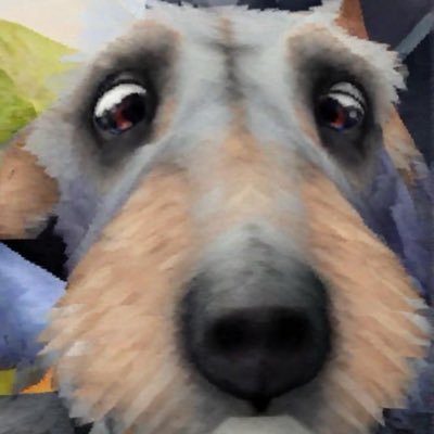 kunosukeE's profile picture. 映像 ▷@vigneravan_info /漫画を動かしてます