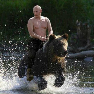 Putin, the fearless leader, casually cruising through the cryptocurrency seas atop a majestic bear. Yes, you read that right. 🌊🚤 #PUWIBEAR