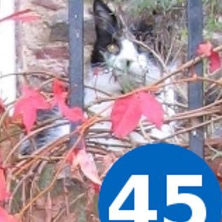 abnerpuddis's profile picture. Lochaber No More