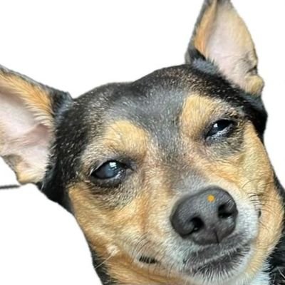 skuzzlebutttt's profile picture. Hier ist Platz für die Bio