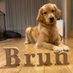Brun🦮 (@brun20220406) Twitter profile photo Brun🦮 (@brun20220406) Twitter profile photo
