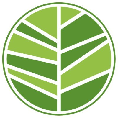 Reforestemos_ Profile Picture