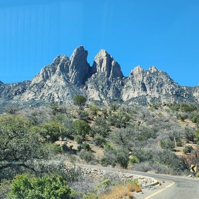 G0Stros's profile picture. 