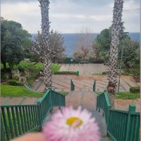 Hanife (@hanife70222049) 's Twitter Profile Photo Hanife (@hanife70222049) 's Twitter Profile Photo