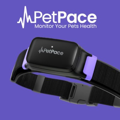 Monitor your pet’s health with the revolutionary AI-enabled smart collar; PetPace Health 2.0