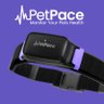 PetPaceinc's profile picture. Monitor your pet’s health with the revolutionary AI-enabled smart collar; PetPace Health 3.0