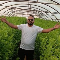 الزعيم للشتلات البريه 🌿☘️🍀 (@kywtb4315) Twitter profile photo