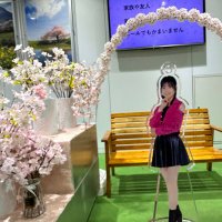 ぼちぼち案内人のハロヲタ垢🍫🌿+🍟 (@9itqeo) 's Twitter Profile