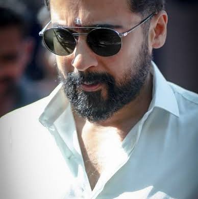 terapapad's profile picture. 