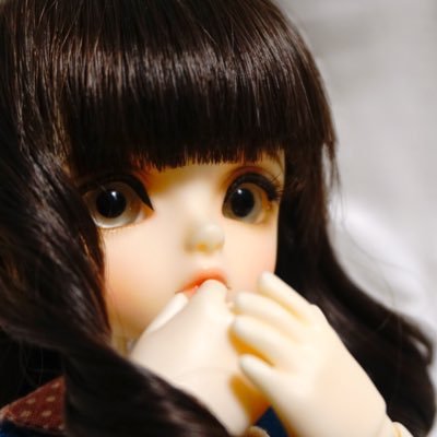 ドール垢。とっくに成人済。ドールちゃんと幸せに暮らしてます。ぬいにもハマってしまいました。→サークル垢@etoile_chouchou