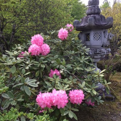 __luca__0's profile picture. 20↑あくねこ、ツイステ、原神にはまったオタク 最近ハイキューにハマった夢垢