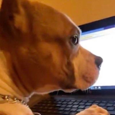 sentir_oceanico's profile picture. ☀️☀️☀️