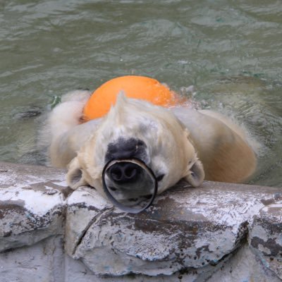 水産B2 🐋 哺乳類(特に海棲哺乳類)/水族館/動物園