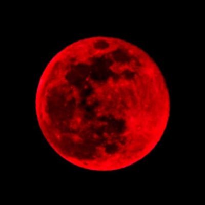 clankybones's profile picture. no longer using my third eye I’ve seen enough // mdni 🔞 // 22 // she/her🏳️‍⚧️🇵🇸