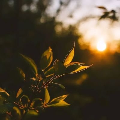 MawahibAbdle's profile picture. Iam fullstack developer  and desinger