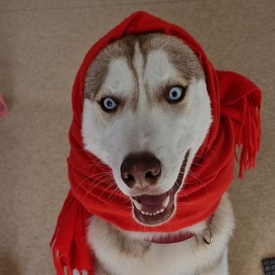 bluerapt0r_'s profile picture. 