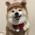 d0 (@d0ngyl) Twitter profile photo d0 (@d0ngyl) Twitter profile photo